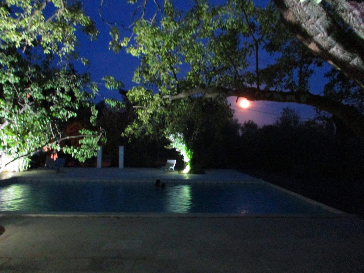 Le Mas Des Lilas Uzes Luaran gambar